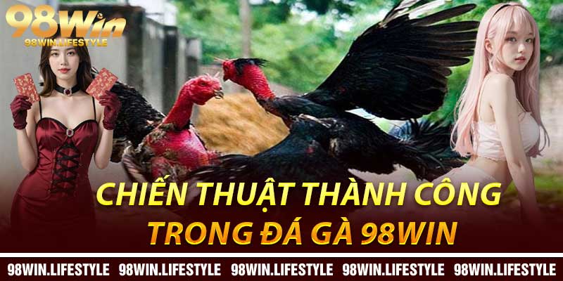 Chiến Thuật Thành Công Trong Đá Gà 98Win