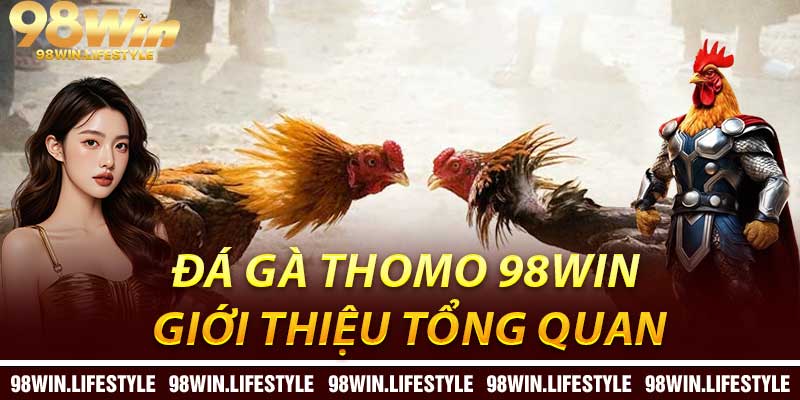 Đá Gà Thomo 98Win: Giới Thiệu Tổng Quan