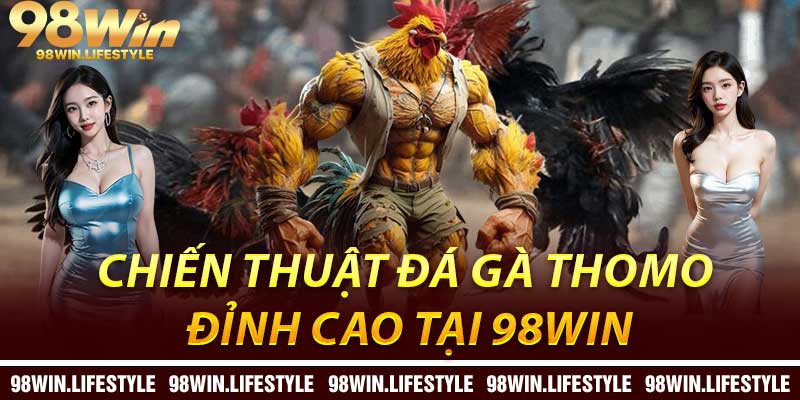 Chiến Thuật Đá Gà Thomo Đỉnh Cao tại 98Win
